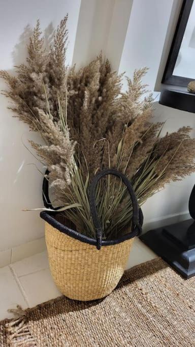 לה בו דה פרובנס Le Balcon Du Prince Noir מראה חיצוני תמונה
